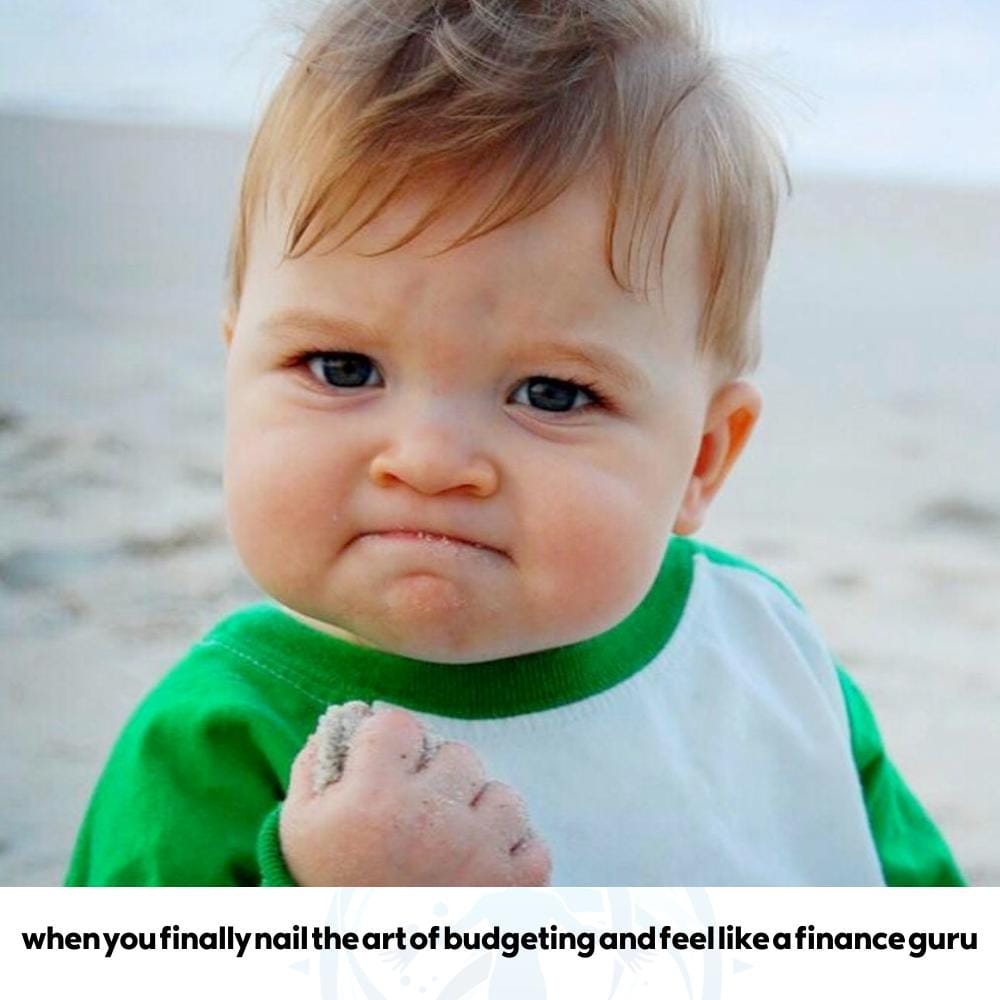 success kid meme for budgeting